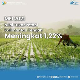 Perkembangan Nilai Tukar Petani bulan Mei 2021