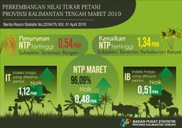 Selama Maret 2019, Nilai Tukar Petani  (NTP) Naik 0,48 Poin Menjadi 96,09 Persen.