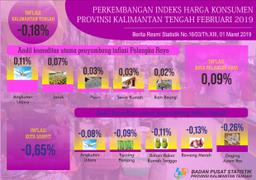 During February 2019, There Was Deflation In Kalimantan Tengah (0.18)