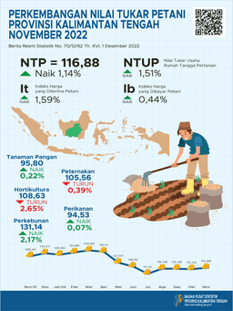 November 2022 Kalimantan Tengahs Combined NTP During November 2022 Was 116.88, Up 1.14 Percent Compared To October 2022