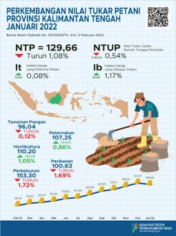 Januari 2022 NTP Gabungan Kalimantan Tengah Sebesar 129,66 Atau Turun 1,08 Persen Dibanding Desember 2021