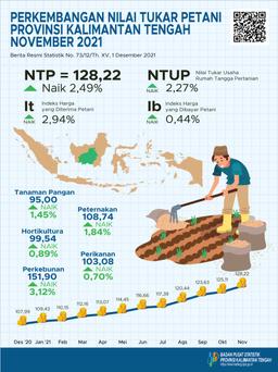 November 2021 NTP Gabungan Kalimantan Tengah Sebesar 128,22 Atau Naik 2,49% Dibanding Oktober 2021. IKRT Rumah Tangga Perdesaan Naik 0,40%.