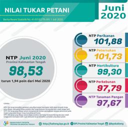 June 2020, Combined Farmers Term Of Trade In Kalimantan Tengah Is 98.53%