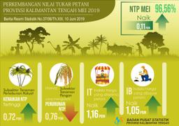 Selama Mei 2019, NTP Naik 0,11 Poin Menjadi 96,56 Persen.