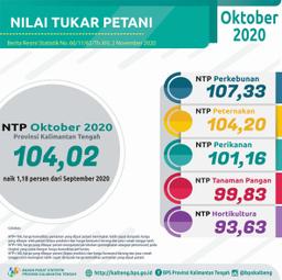 Oktober 2020, NTP Gabungan Di Provinsi Kalimantan Tengah 104,02