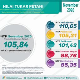 November 2020  NTP Gabungan Di Provinsi Kalimantan Tengah 105,84