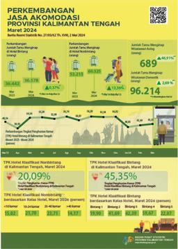 Kalimantan Tengah Province Accommodation Services March 2024