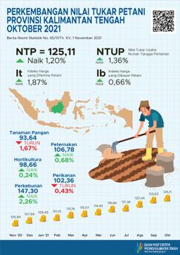 Oktober 2021 NTP Gabungan Kalimantan Tengah Sebesar 125,11 Atau Naik 1,20% Dibanding September 2021. IKRT Rumah Tangga Perdesaan Naik 0,70%.