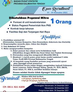 OPEN RECRUITMENT PPNPN BPS PROVINSI KALIMANTAN TENGAH