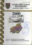 Kalimantan Tengah Dalam Angka 2000
