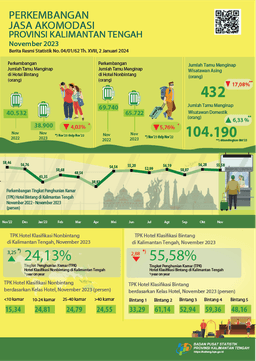 November 2023  TPK Hotel Berbintang Dan Non Bintang Di Kalimantan Tengah Masing-Masing Sebesar 55,58 Persen Dan 24,13 Persen