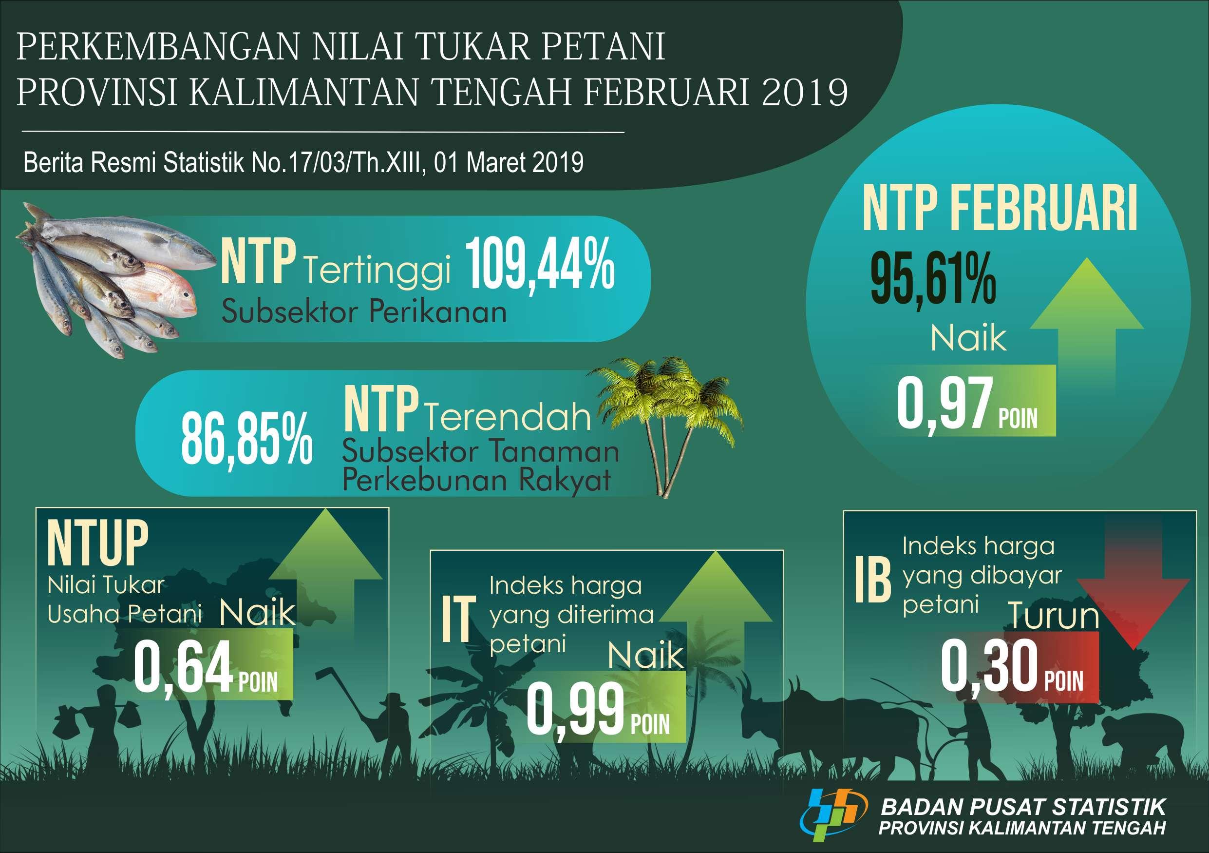 Selama Februari 2019, Nilai Tukar Petani (NTP) naik menjadi 95,61 persen