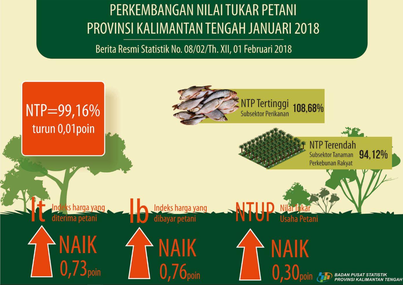 Januari 2018, Nilai Tukar Petani di Kalimantan Tengah sebesar 99,15 persen