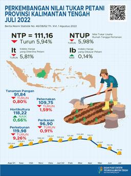 Juli 2022 NTP Gabungan Kalimantan Tengah Selama Juli 2022 Sebesar 111,16 Atau Turun 5.94 Persen Dibanding Juni 2022